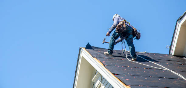 Best Roof Maintenance Services  in Gautier, MS